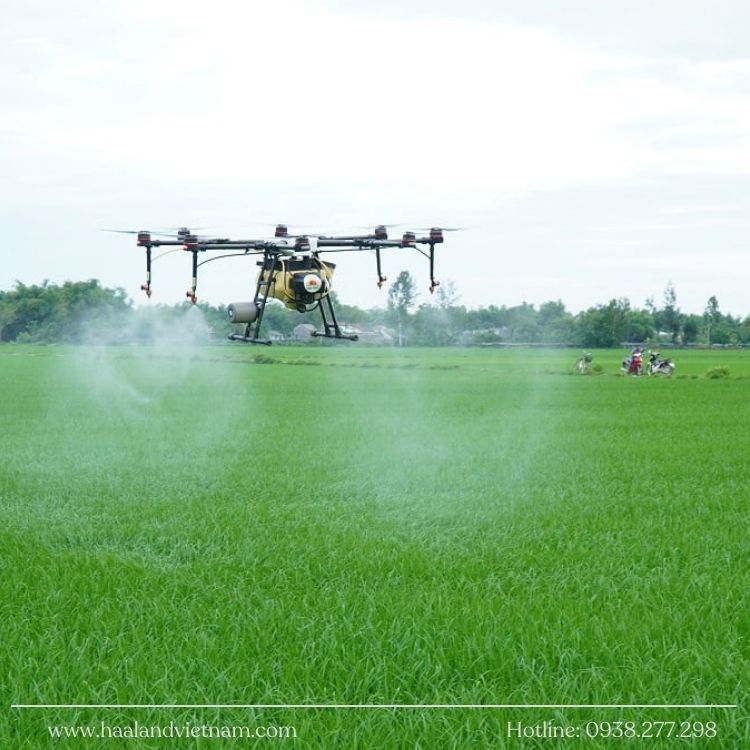Nông nghiệp 4.0 dùng máy bay phun thuốc bảo vệ thực vật cho lúa