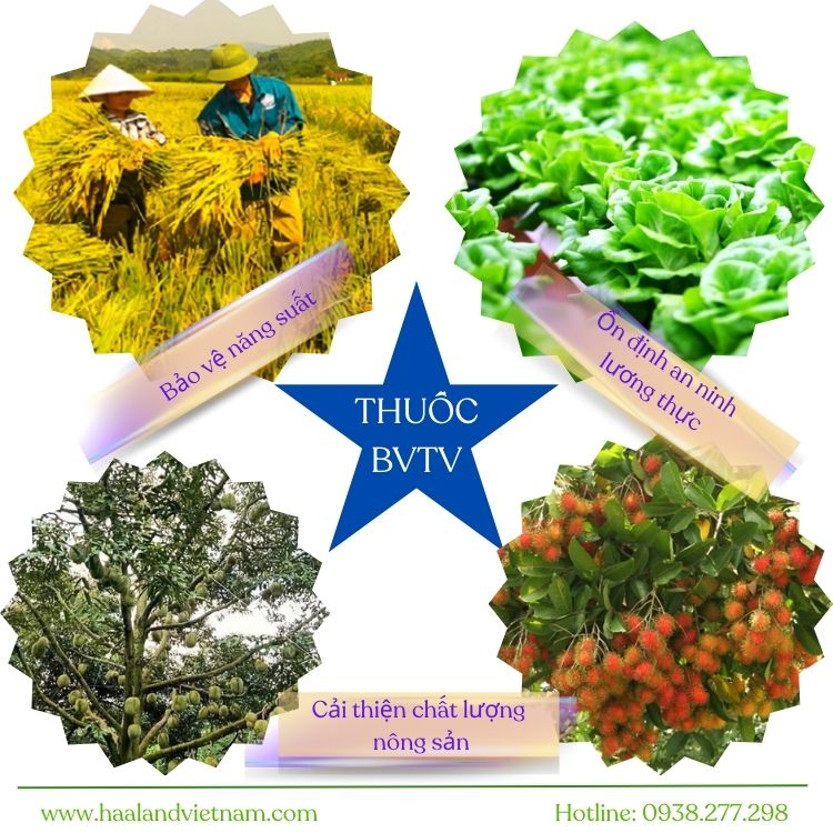 vai trò của thuốc bảo vệ thực vật trong ngành nông nghiệp